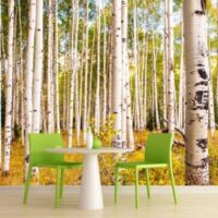 Wallpaper printing