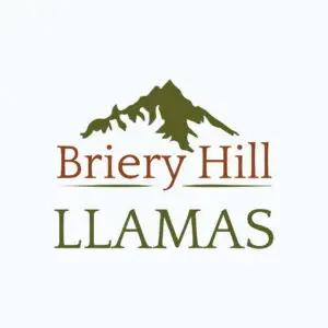 Business-Start-Up-Logos-02